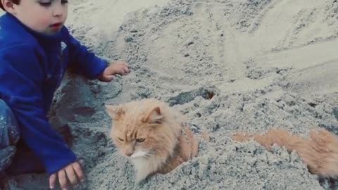 Toddler blue jacket orange cat sand