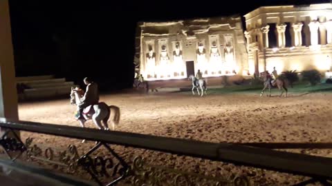 Arabian Horse dancing in Pharaonic Village