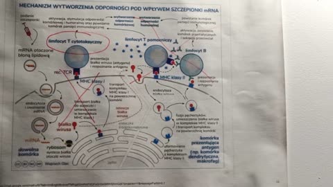 Lekarz Rybus wyjaśnia możliwe powikłania po przyjęciu szczepionki covid-19 koronawirus