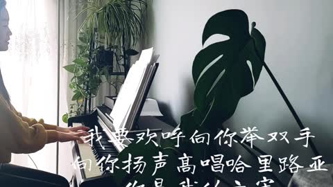 我的神我的父我的磐石 My God My Father My Rock 诗歌钢琴伴奏 (Hymn Accompaniment Piano Cover) 歌词 WorshipTogether V059