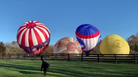 Hot Air Ballon