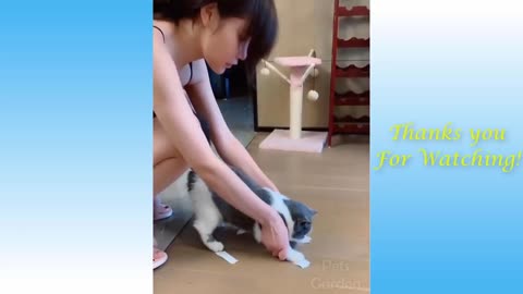 Cat training cute adorable funny moments.