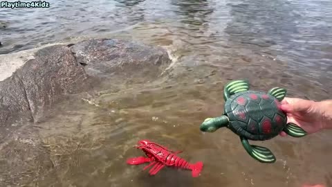 Sea Animals toys this summer at the shore