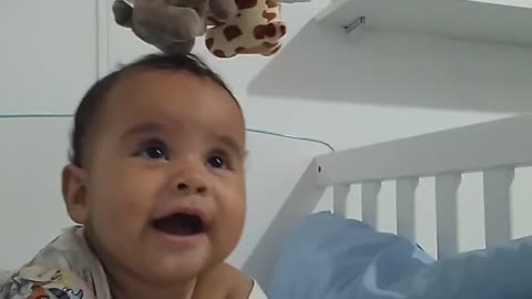 Meu bebe é um show