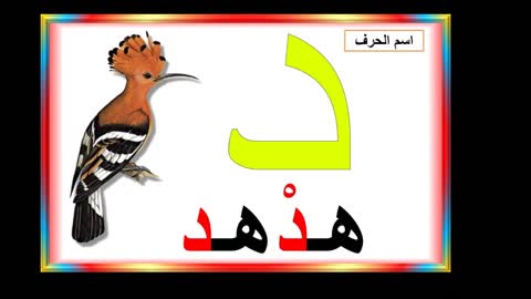 تعليم الحروف العربية- حرف الدال - #تعليم_اللغة_العربية​​​ learning Arabic-Arapça Öğretimi