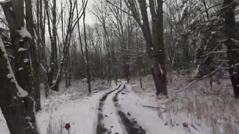 ATV ride on backyard trails