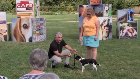 How To Stop Your Dog from Jumping on People w Cesar Millan!