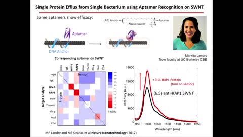 Engineering the Nanoparticle Corona for Sensors, Michael Strano - MIT.nano 2017
