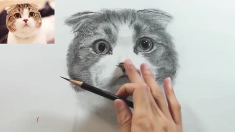 The detailed drawing process of sketching cats is easy to learn10