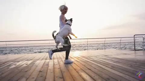 Young woman running with cute dog Jack Russel near the sea, slow motion stock video