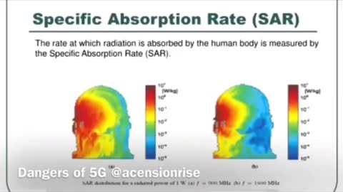 Danger of The 5G