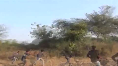 Horrifying situation _a Lion attacks a man in india