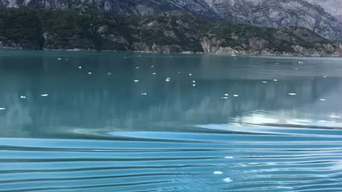 Glacier bay