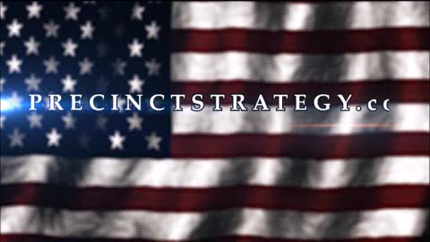 Precinct Committeeman Strategy podcast with Dan Schultz August 15 2022