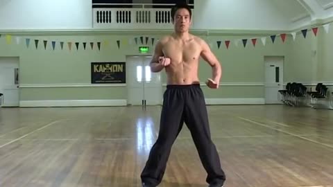 Kungfu WingChun style tutorial