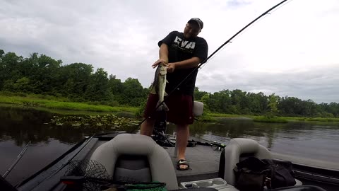 CVA Outdoors | Landing Bass with Lunkerhunt Walking Frog