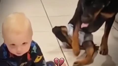 Cute baby and funny dog 😂