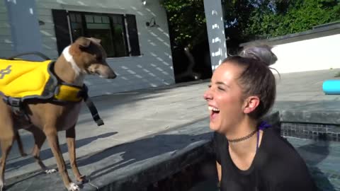 Dogs Are Learning How To Swim