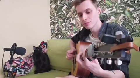 Cat Sings The Blues While Owner Plays Guitar