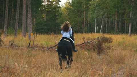 girl riding a horse walking in the woods