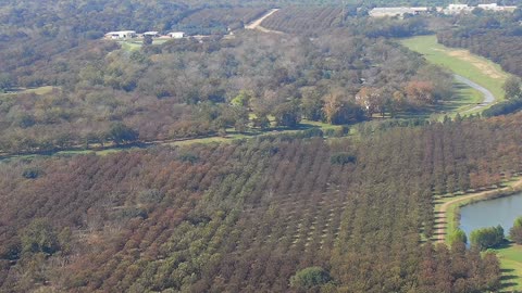 Old Pecan Plantation from 1000ft, Nov. 11, 2020