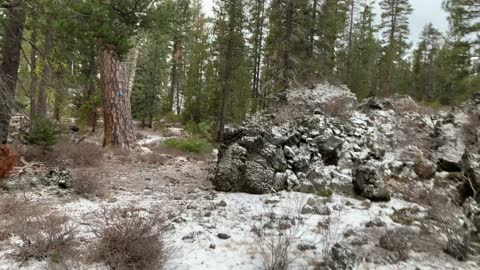 Hiking Forest at Edge of Volcanic Zone – Central Oregon – Edison Sno-Park – 4K