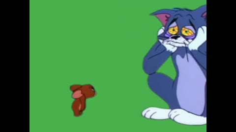 TOM AND JERRY CARTOON !!! GREEN SCREEN BACKGROUND !!! TOM AND JERRY CARTOON VIDEO !!!!!