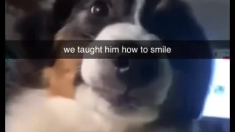 Memes that i found on tiktok number 9