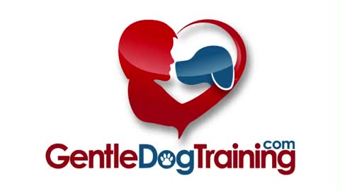 The keys to a fantastic dog|promo video. Gentle dog training funway