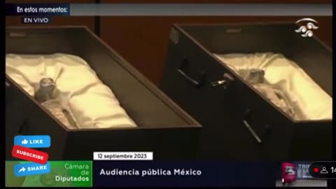 Mexico Gets ROASTED For Claiming To Have Aliens In RIDICULOUS Clip