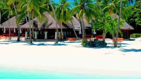 10 Unique Things to Do in Maldives! 🏝️😍