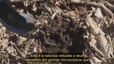 TERRAIN (TERRENO): O FILME SOBRE O FIM DA TEORIA DOS GERMES