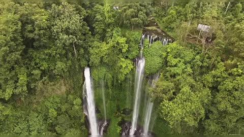 Cascading Waterfalls In a Mountain Forest