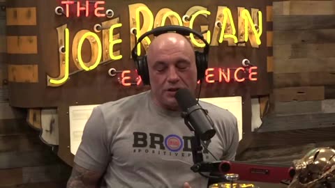 Joe Rogan Weighs In On The Bud Light Controversy