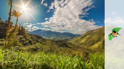 Interview With Author and Ecuador Expert Nicholas Crowder – Ecuador Insider Podcast #23