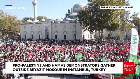 Protestors Gather In Istanbul, Turkey To Express Their Support For Hamas and Palestine