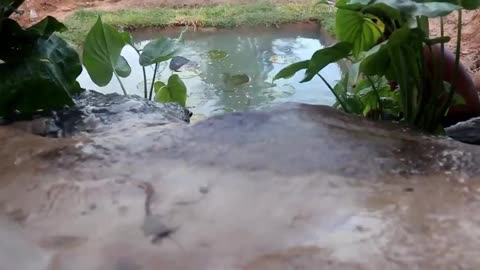 How to build a waterfall fish pond