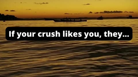 Crush Chronicles: Stories of When They Liked You | #CrushStories #LoveConfessions #RealExperiences