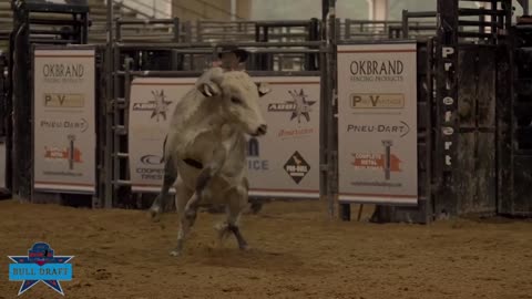 Bovine Performance Draft Commercial