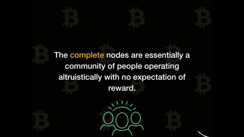 What are full nodes?