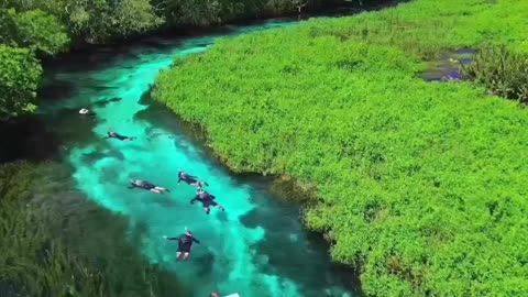 Snorkeling through the clearest river in Brazil 💙🤿