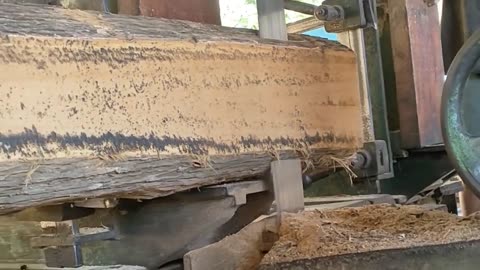 Kayu Jati Tua Di Gergaji Sawmill Bikin Takjub