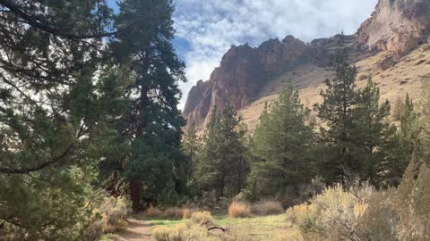 Central Oregon – Smith Rock State Park – The Mighty Wolf Tree, Namesake for the Trail