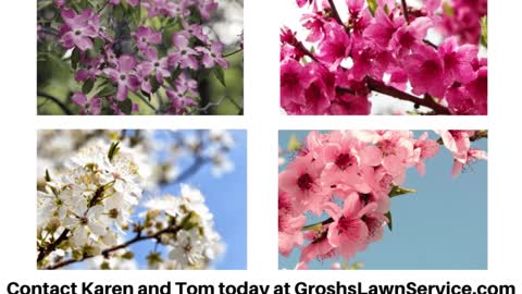 Flowering Trees Falling Waters West Virginia Tree Planting