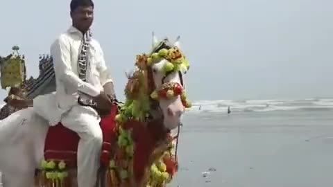 #karachi_beach 🏖️ #enjoy #beach #horse_riding #enjoy with family