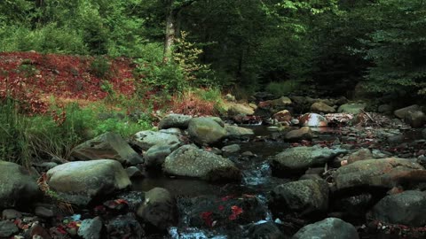 Along The River