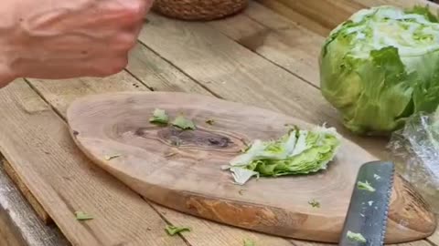 Growing [organic] lettuce brought from the store/farmers market