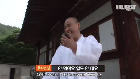 속세 츄르를 뒤로하고 냥보살이 된 해탈스님이십니다 ㅣ Meet This Buddhist Cat Who Will Find Buddha Inside You