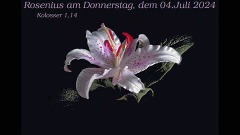 Rosenius am Donnerstag, dem 04. Juli 2024 zu Kolosser 1,14