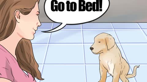 How to train your dog the easiest ways